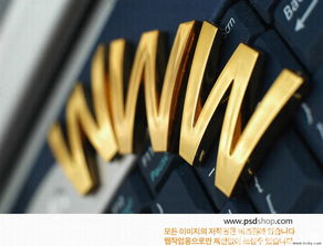 計算機網(wǎng)絡(luò)工程的設(shè)計與維修 從基礎(chǔ)到實踐的全面指南